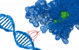 Réactifs de transfection de protéines