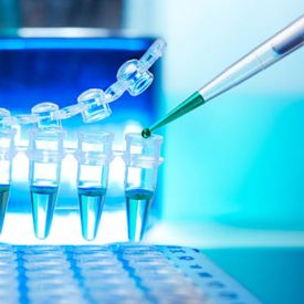 PCR qPCR