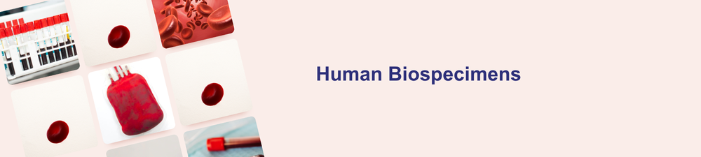 Lipid Nanoparticles Banner