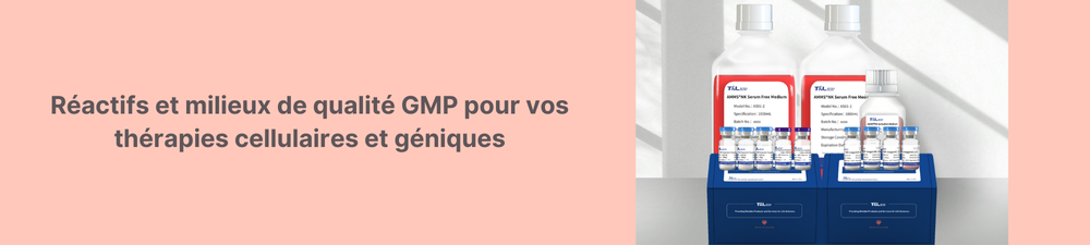 Bannière Nanoparticules Lipidiques