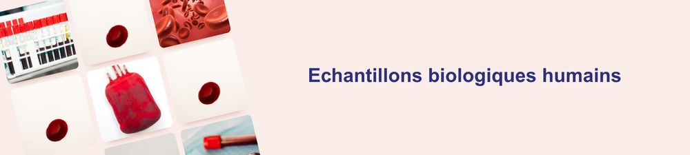 Bannière de nanoparticules lipidiques