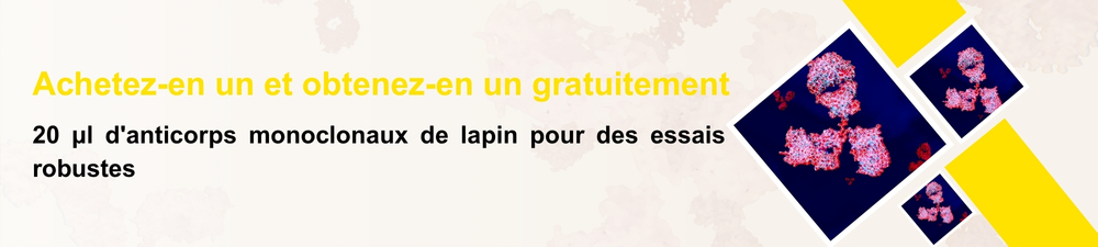 /upload/promotion-3-u3xbfg.jpg
