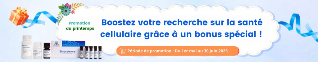 /upload/promotion-banner-to-all-8-3bbk5j.jpg