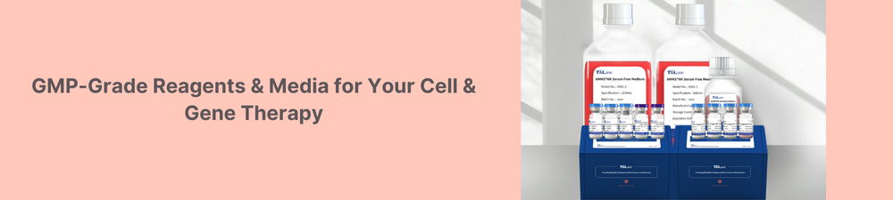 Lipid Nanoparticles Banner