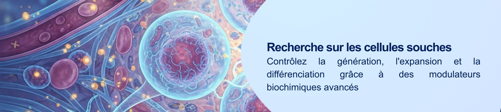Bannière nanoparticules lipidiques