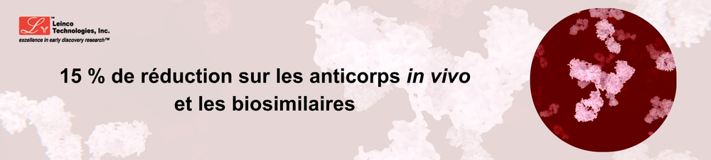 Bannière Nanoparticules Lipidiques