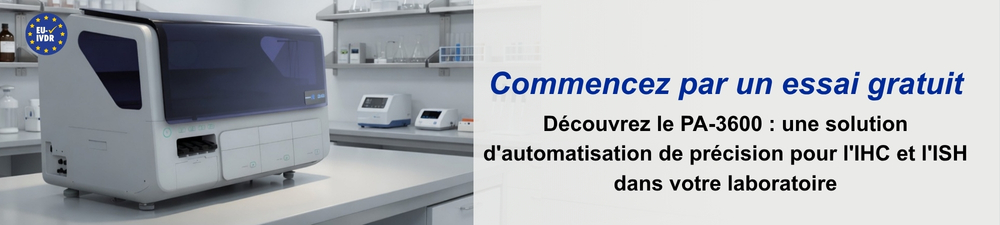 Bannière Nanoparticules Lipidiques