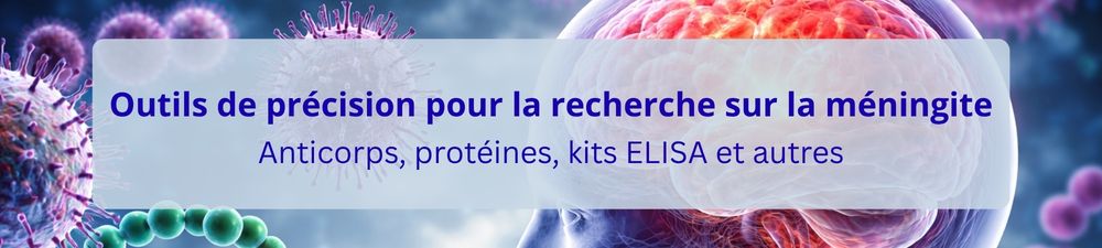 Bannière Nanoparticules Lipidiques