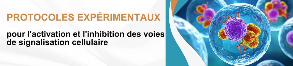 /upload/promotion-website-5-fbtke9.jpg