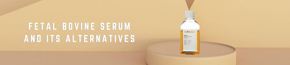 Lipid Nanoparticles Banner