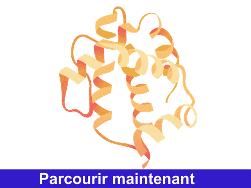 /upload/prot-fr-3d6fhm.png