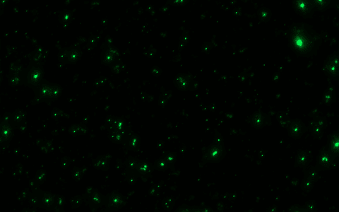 CPN-Streambio-nanoparticles
