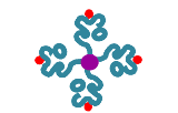 SARS-CoV-2 - Peptides pour tétramères pour la recherche et le développement