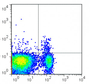 Cytométrie en flux