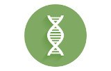 ADN polymérase pour amplification de longs fragments (Long Range PCR)