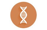 ADN polymérases pour PCR rapide