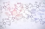 Interactions hydrophobiques (HIC)