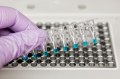 Nouveaux kits ultra-sensibles de détection de mutation génique par qPCR
