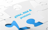ADNg, ARN et protéines