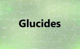 Glucides