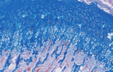 Colorations histologiques spéciales