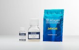 Hydrogel à base de collagène de méduse