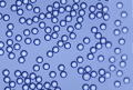 Microsphères, billes et particules