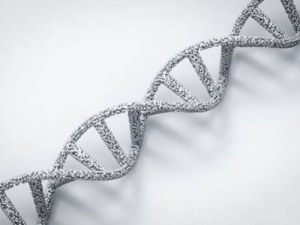 De l’Extraction à la Séquence : Outils de Biologie Moléculaire pour Chaque Étape