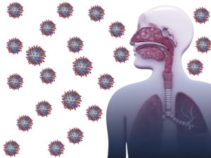 Solutions de recherche complètes pour les virus respiratoires !