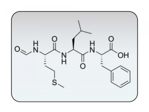 Synthèse de Peptides à façon