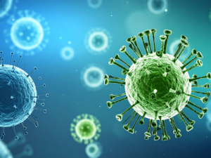 Outils pour la détection et la recherche du virus Nipah