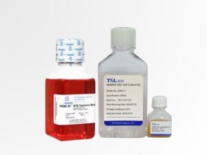 Avancer la thérapie cellulaire et génique grâce à des milieux de culture optimisés