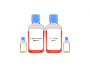 Produits de R&D et de qualité GMP pour vos thérapies cellulaires et géniques