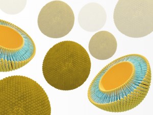 Nanoparticules lipidiques : Administration ciblée pour les thérapies de nouvelle génération