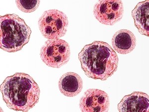HumInflammation - ThemaPanel® : Un panel pour l'inflammation humaine