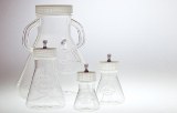 Pour cellules d'insecte et de mammifères