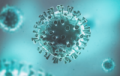 Paire d'anticorps ELISA SARS-CoV-2 à 20 % de réduction