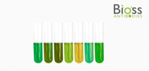 20 % de réduction sur les composés biochimiques