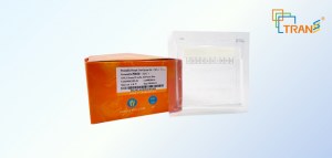 50% de réduction sur les gels précoulés - prix compétitifs pour une électrophorèse