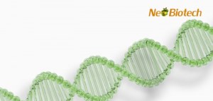 65% de réduction sur les kits d'extraction d'ADN, de qPCR, de purification de gel et plus encore !
