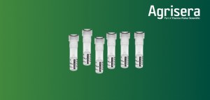 10 % de réduction sur les anticorps pour la photosynthèse