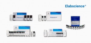 Achetez des kits de détection de la santé cellulaire, obtenez des réactifs auxiliaires GRATUITEMENT