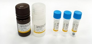 Kit d'essai Western Blot gratuit+ 50 % de réduction sur les composants!
