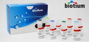 Économisez 30 % sur les réactifs Biotium 