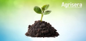 15 % de réduction sur les anticorps dédiés au stress environnemental