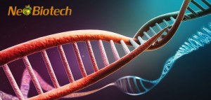 50 % de réduction sur les réactifs PCR/qPCR de Neo Biotech