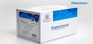 Économisez 25 % sur une sélection de tests métaboliques d'Elabscience!