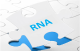 ARN