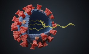 Kits d'extraction d'ARN viral pour les coronavirus