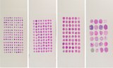 Tissue Array Paraffine